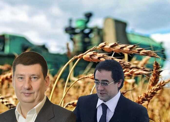Национализация экспортеров зерна: как Тимур Шаймиев готовится забрать «Родные поля» Петра Ходыкина
